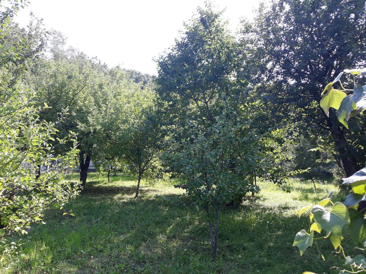 Котедж Лісовий затишок Glubokoye Экстерьер фото