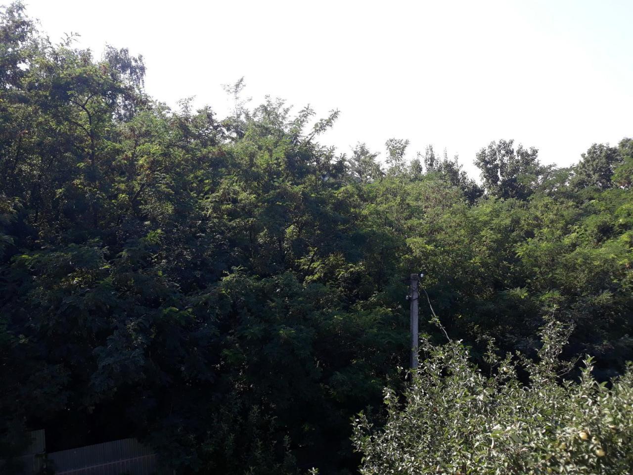 Котедж Лісовий затишок Glubokoye Экстерьер фото