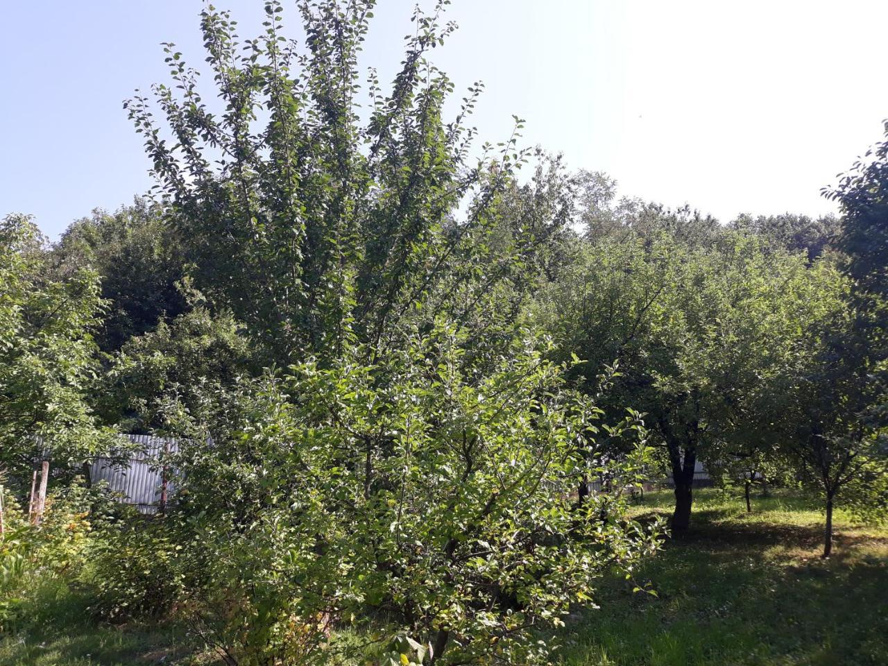 Котедж Лісовий затишок Glubokoye Экстерьер фото