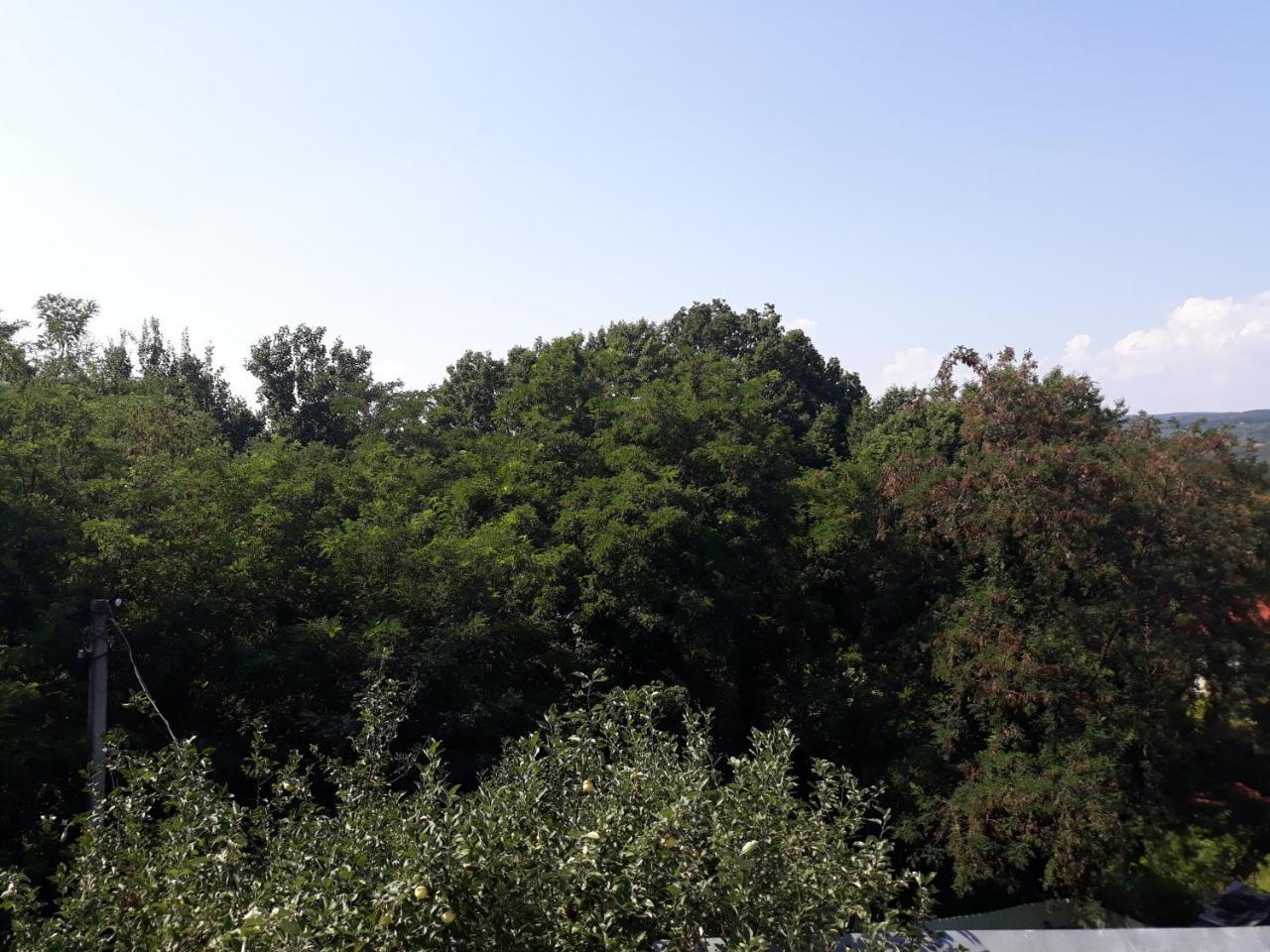 Котедж Лісовий затишок Glubokoye Экстерьер фото